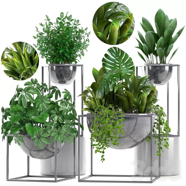 PLANTS – INDOOR – 3D MODELS – FREE DOWNLOAD – 16617 PLANTS – INDOOR – 3D MODELS – FREE DOWNLOAD – 16617