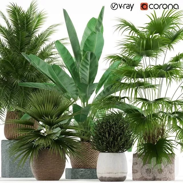 PLANTS – INDOOR – 3D MODELS – FREE DOWNLOAD – 16618 PLANTS – INDOOR – 3D MODELS – FREE DOWNLOAD – 16618