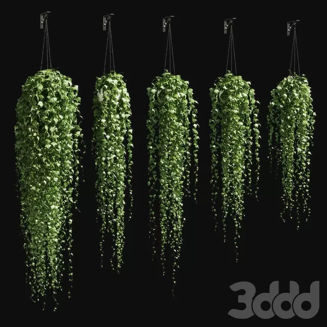 PLANTS – INDOOR – 3D MODELS – FREE DOWNLOAD – 16621 PLANTS – INDOOR – 3D MODELS – FREE DOWNLOAD – 16621