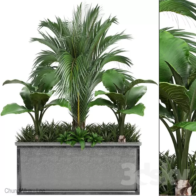PLANTS – INDOOR – 3D MODELS – FREE DOWNLOAD – 16626 PLANTS – INDOOR – 3D MODELS – FREE DOWNLOAD – 16626