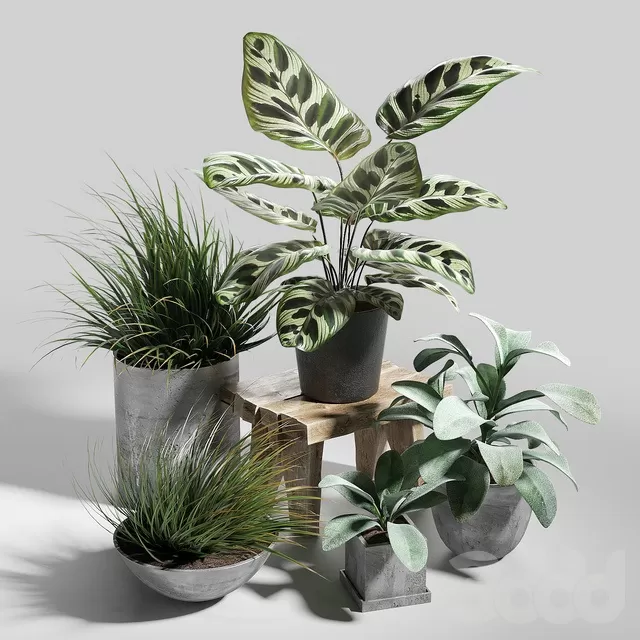 PLANTS – INDOOR – 3D MODELS – FREE DOWNLOAD – 16627 PLANTS – INDOOR – 3D MODELS – FREE DOWNLOAD – 16627