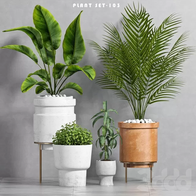 PLANTS – INDOOR – 3D MODELS – FREE DOWNLOAD – 16628 PLANTS – INDOOR – 3D MODELS – FREE DOWNLOAD – 16628