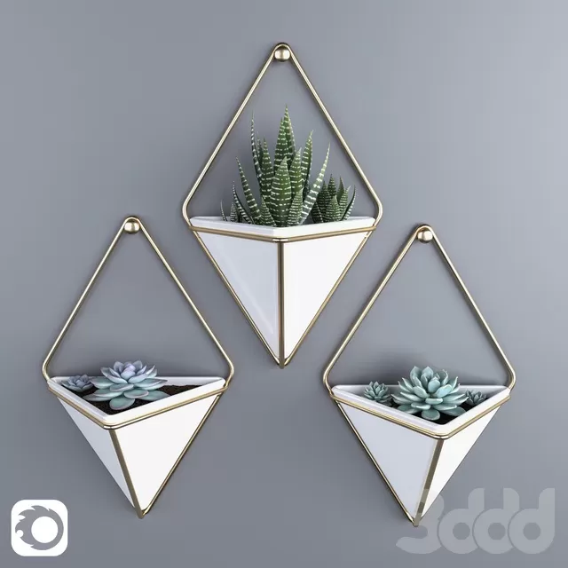 PLANTS – INDOOR – 3D MODELS – FREE DOWNLOAD – 16636 PLANTS – INDOOR – 3D MODELS – FREE DOWNLOAD – 16636