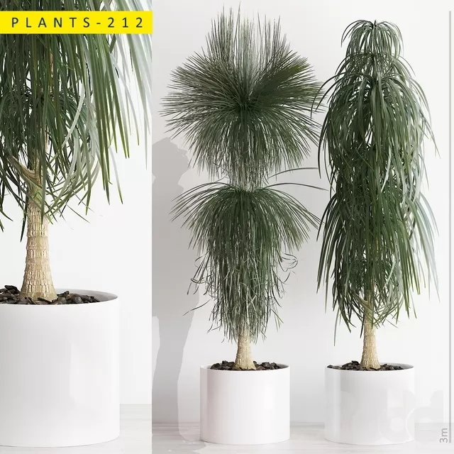 PLANTS – INDOOR – 3D MODELS – FREE DOWNLOAD – 16639 PLANTS – INDOOR – 3D MODELS – FREE DOWNLOAD – 16639