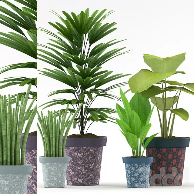 PLANTS – INDOOR – 3D MODELS – FREE DOWNLOAD – 16646 PLANTS – INDOOR – 3D MODELS – FREE DOWNLOAD – 16646