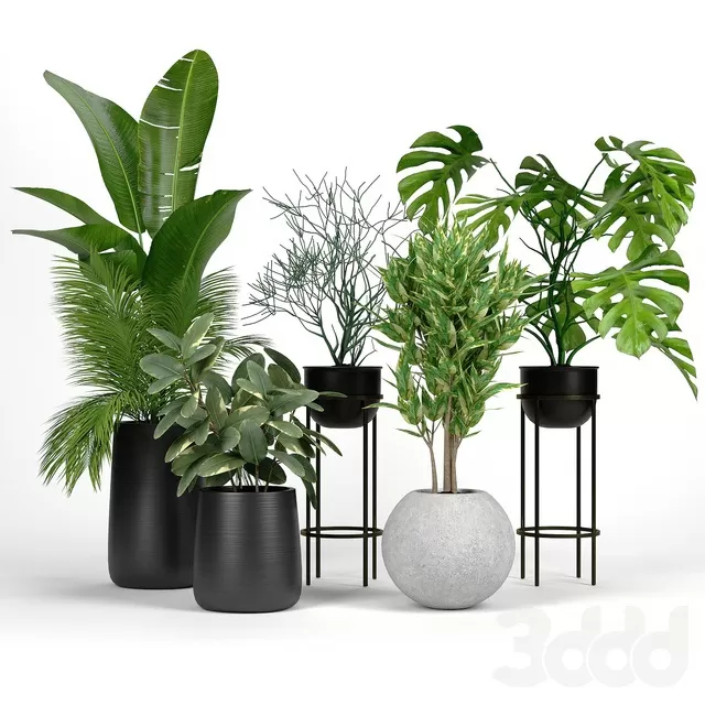 PLANTS – INDOOR – 3D MODELS – FREE DOWNLOAD – 16648 PLANTS – INDOOR – 3D MODELS – FREE DOWNLOAD – 16648