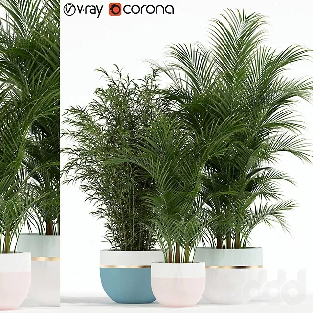 PLANTS – INDOOR – 3D MODELS – FREE DOWNLOAD – 16652 PLANTS – INDOOR – 3D MODELS – FREE DOWNLOAD – 16652
