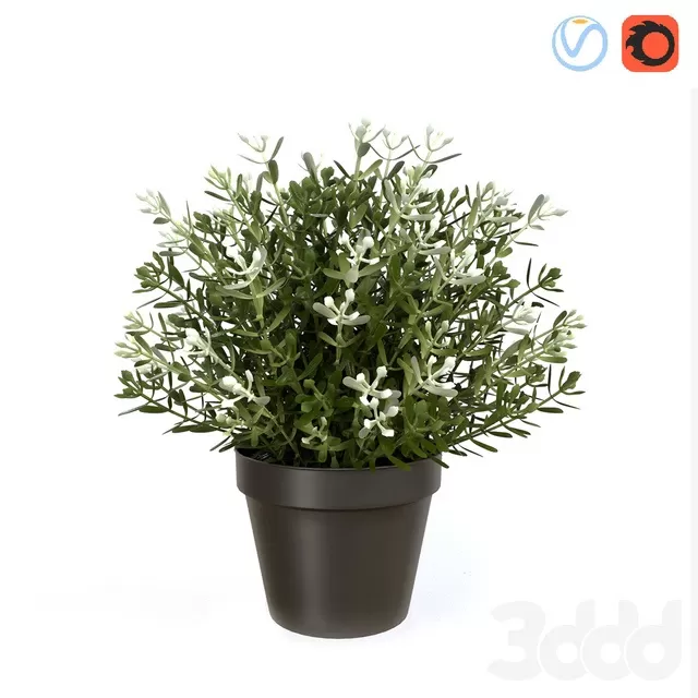 PLANTS – INDOOR – 3D MODELS – FREE DOWNLOAD – 16658 PLANTS – INDOOR – 3D MODELS – FREE DOWNLOAD – 16658