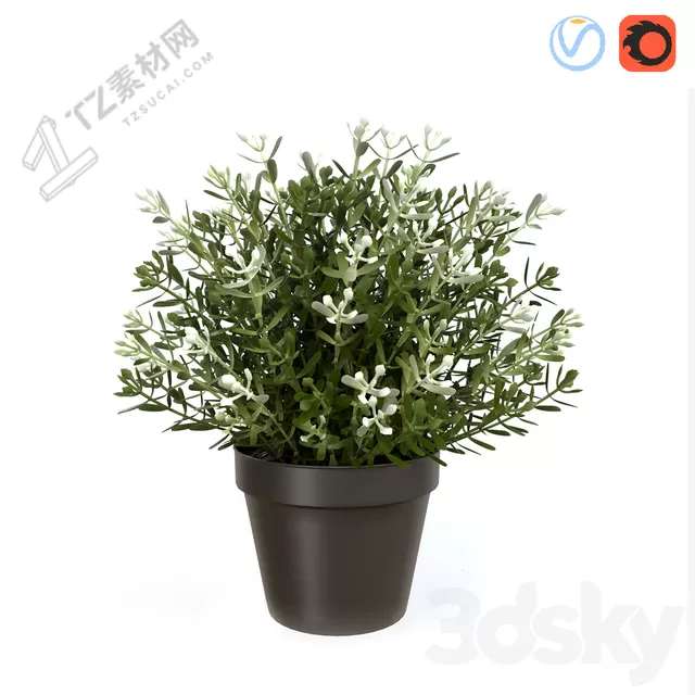 PLANTS – INDOOR – 3D MODELS – FREE DOWNLOAD – 16659 PLANTS – INDOOR – 3D MODELS – FREE DOWNLOAD – 16659