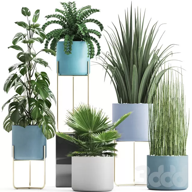 PLANTS – INDOOR – 3D MODELS – FREE DOWNLOAD – 16660 PLANTS – INDOOR – 3D MODELS – FREE DOWNLOAD – 16660