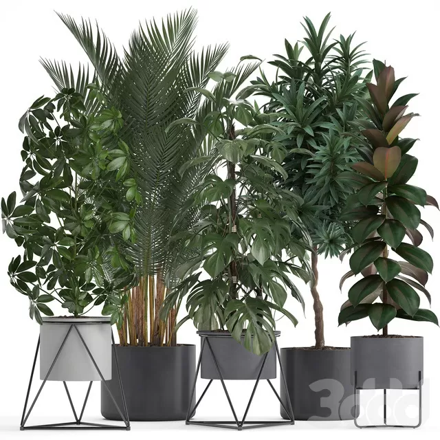 PLANTS – INDOOR – 3D MODELS – FREE DOWNLOAD – 16661 PLANTS – INDOOR – 3D MODELS – FREE DOWNLOAD – 16661