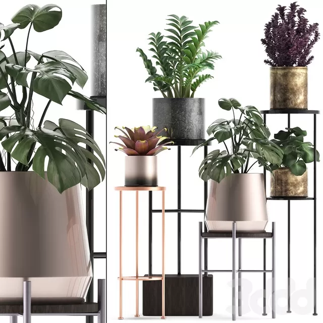 PLANTS – INDOOR – 3D MODELS – FREE DOWNLOAD – 16663 PLANTS – INDOOR – 3D MODELS – FREE DOWNLOAD – 16663
