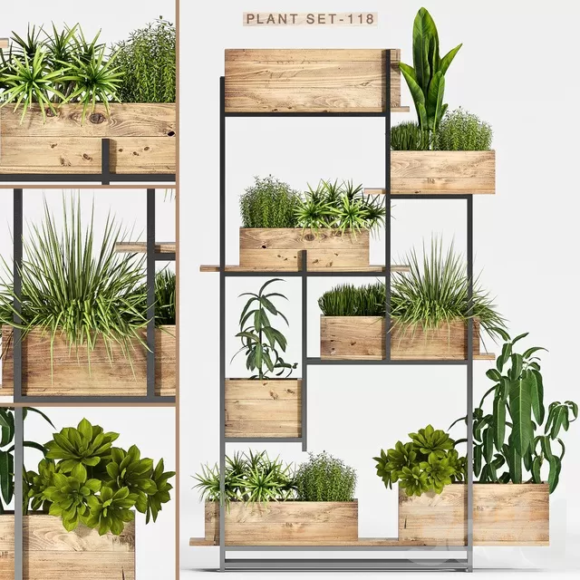 PLANTS – INDOOR – 3D MODELS – FREE DOWNLOAD – 16666 PLANTS – INDOOR – 3D MODELS – FREE DOWNLOAD – 16666