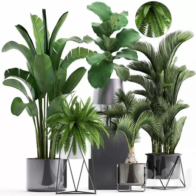 PLANTS – INDOOR – 3D MODELS – FREE DOWNLOAD – 16668 PLANTS – INDOOR – 3D MODELS – FREE DOWNLOAD – 16668