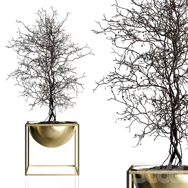 PLANTS – INDOOR – 3D MODELS – FREE DOWNLOAD – 16669 PLANTS – INDOOR – 3D MODELS – FREE DOWNLOAD – 16669