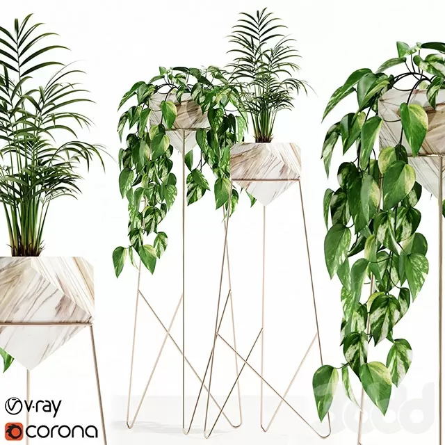 PLANTS – INDOOR – 3D MODELS – FREE DOWNLOAD – 16675 PLANTS – INDOOR – 3D MODELS – FREE DOWNLOAD – 16675