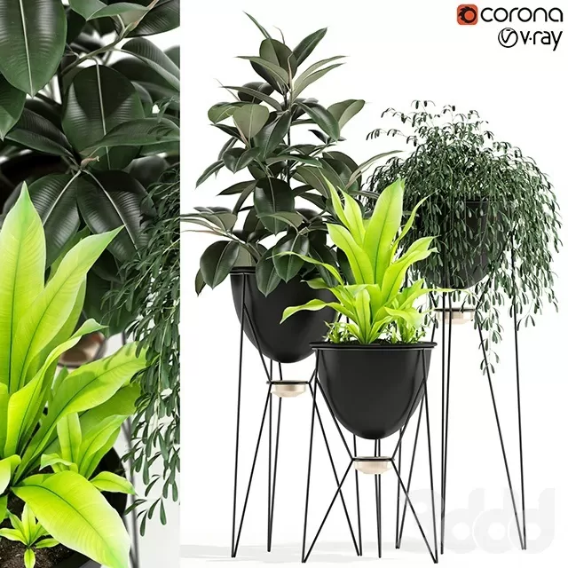 PLANTS – INDOOR – 3D MODELS – FREE DOWNLOAD – 16680 PLANTS – INDOOR – 3D MODELS – FREE DOWNLOAD – 16680