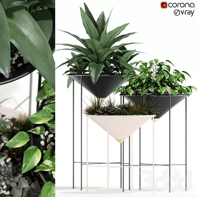 PLANTS – INDOOR – 3D MODELS – FREE DOWNLOAD – 16684 PLANTS – INDOOR – 3D MODELS – FREE DOWNLOAD – 16684