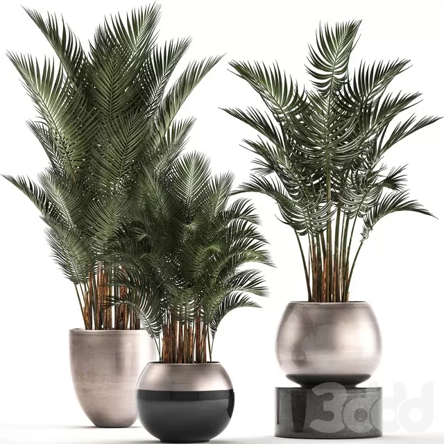 PLANTS – INDOOR – 3D MODELS – FREE DOWNLOAD – 16685 PLANTS – INDOOR – 3D MODELS – FREE DOWNLOAD – 16685