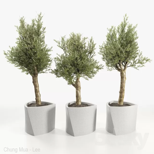 PLANTS – INDOOR – 3D MODELS – FREE DOWNLOAD – 16686 PLANTS – INDOOR – 3D MODELS – FREE DOWNLOAD – 16686