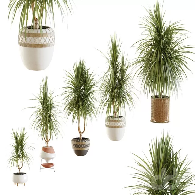 PLANTS – INDOOR – 3D MODELS – FREE DOWNLOAD – 16689 PLANTS – INDOOR – 3D MODELS – FREE DOWNLOAD – 16689