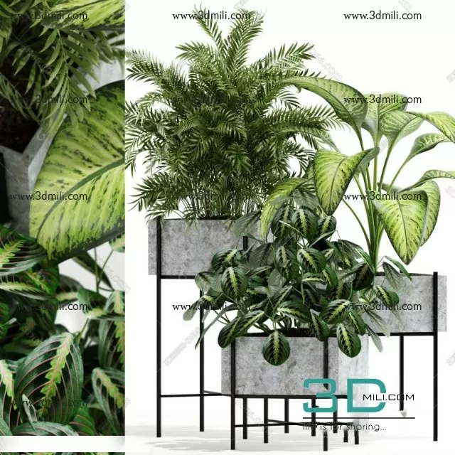 PLANTS – INDOOR – 3D MODELS – FREE DOWNLOAD – 16692 PLANTS – INDOOR – 3D MODELS – FREE DOWNLOAD – 16692