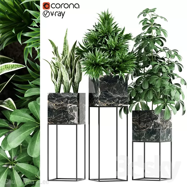 PLANTS – INDOOR – 3D MODELS – FREE DOWNLOAD – 16693 PLANTS – INDOOR – 3D MODELS – FREE DOWNLOAD – 16693