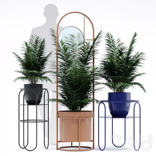 PLANTS – INDOOR – 3D MODELS – FREE DOWNLOAD – 16694 PLANTS – INDOOR – 3D MODELS – FREE DOWNLOAD – 16694