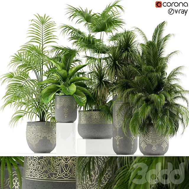 PLANTS – INDOOR – 3D MODELS – FREE DOWNLOAD – 16695 PLANTS – INDOOR – 3D MODELS – FREE DOWNLOAD – 16695