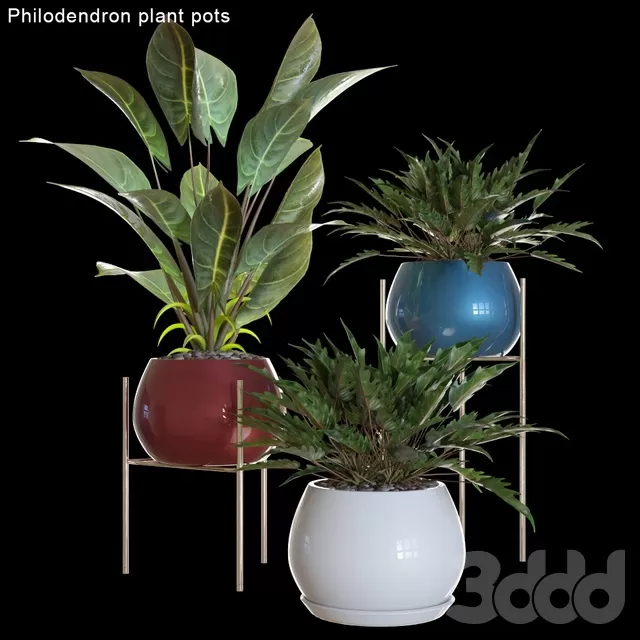 PLANTS – INDOOR – 3D MODELS – FREE DOWNLOAD – 16702 PLANTS – INDOOR – 3D MODELS – FREE DOWNLOAD – 16702