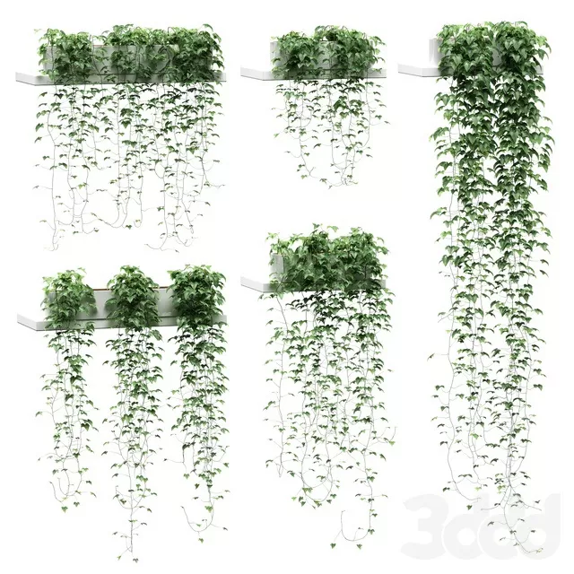 PLANTS – INDOOR – 3D MODELS – FREE DOWNLOAD – 16704 PLANTS – INDOOR – 3D MODELS – FREE DOWNLOAD – 16704