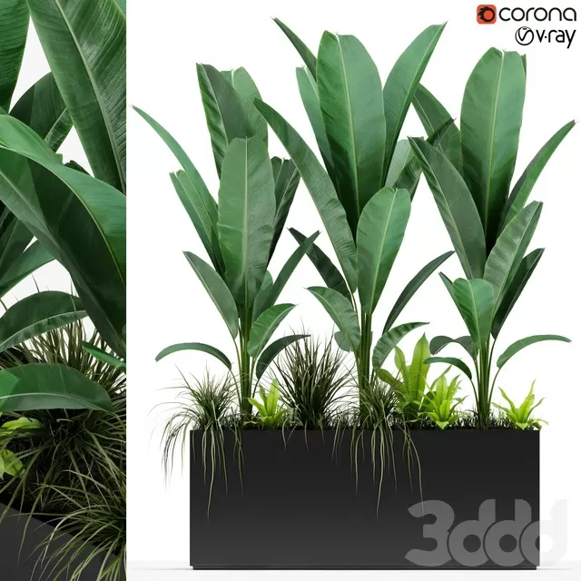 PLANTS – INDOOR – 3D MODELS – FREE DOWNLOAD – 16708 PLANTS – INDOOR – 3D MODELS – FREE DOWNLOAD – 16708