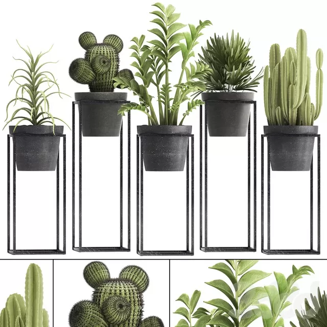 PLANTS – INDOOR – 3D MODELS – FREE DOWNLOAD – 16710 PLANTS – INDOOR – 3D MODELS – FREE DOWNLOAD – 16710