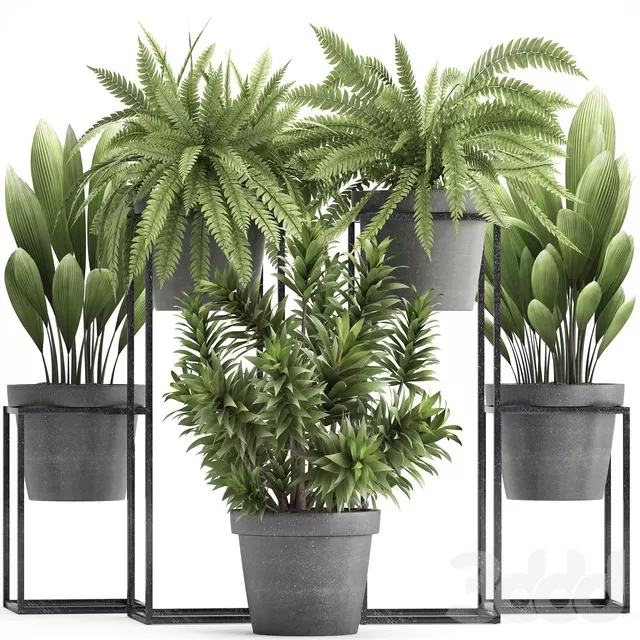 PLANTS – INDOOR – 3D MODELS – FREE DOWNLOAD – 16711 PLANTS – INDOOR – 3D MODELS – FREE DOWNLOAD – 16711
