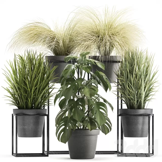 PLANTS – INDOOR – 3D MODELS – FREE DOWNLOAD – 16712 PLANTS – INDOOR – 3D MODELS – FREE DOWNLOAD – 16712