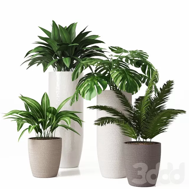 PLANTS – INDOOR – 3D MODELS – FREE DOWNLOAD – 16714 PLANTS – INDOOR – 3D MODELS – FREE DOWNLOAD – 16714