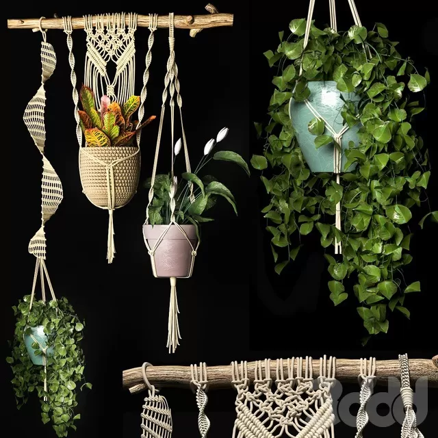 PLANTS – INDOOR – 3D MODELS – FREE DOWNLOAD – 16715 PLANTS – INDOOR – 3D MODELS – FREE DOWNLOAD – 16715