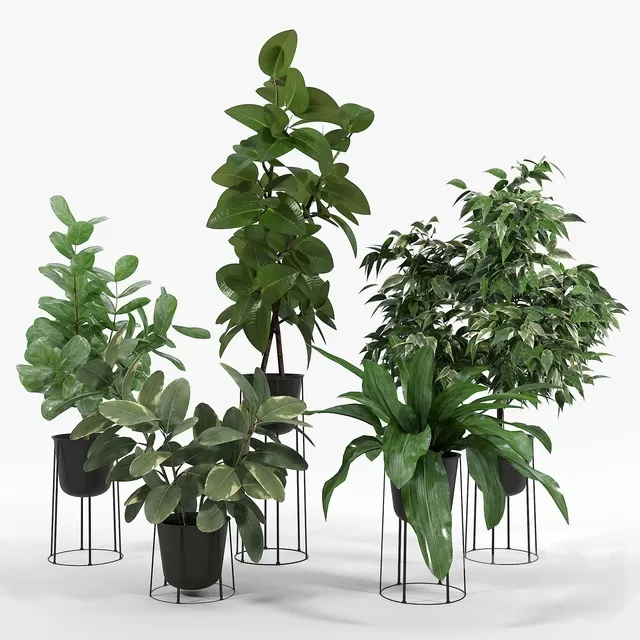 PLANTS – INDOOR – 3D MODELS – FREE DOWNLOAD – 16725 PLANTS – INDOOR – 3D MODELS – FREE DOWNLOAD – 16725