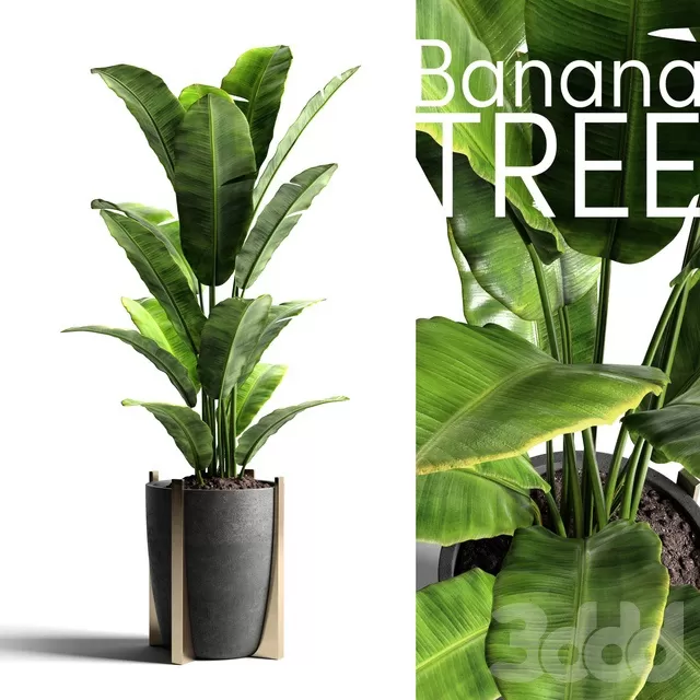 PLANTS – INDOOR – 3D MODELS – FREE DOWNLOAD – 16726 PLANTS – INDOOR – 3D MODELS – FREE DOWNLOAD – 16726