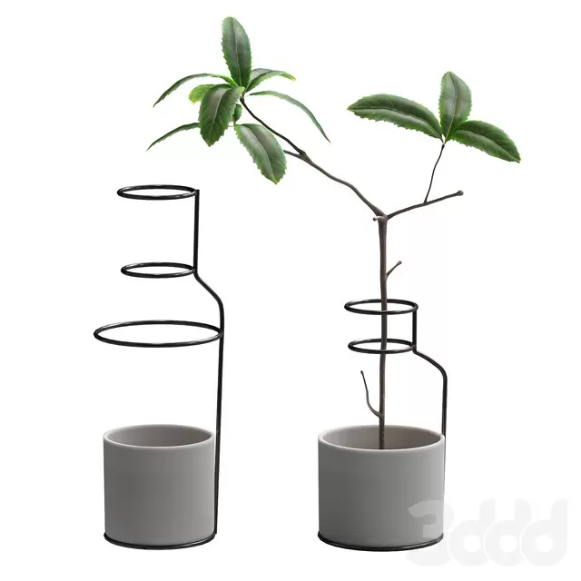 PLANTS – INDOOR – 3D MODELS – FREE DOWNLOAD – 16730 PLANTS – INDOOR – 3D MODELS – FREE DOWNLOAD – 16730