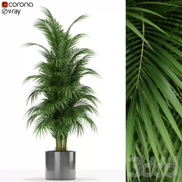 PLANTS – INDOOR – 3D MODELS – FREE DOWNLOAD – 16731 PLANTS – INDOOR – 3D MODELS – FREE DOWNLOAD – 16731