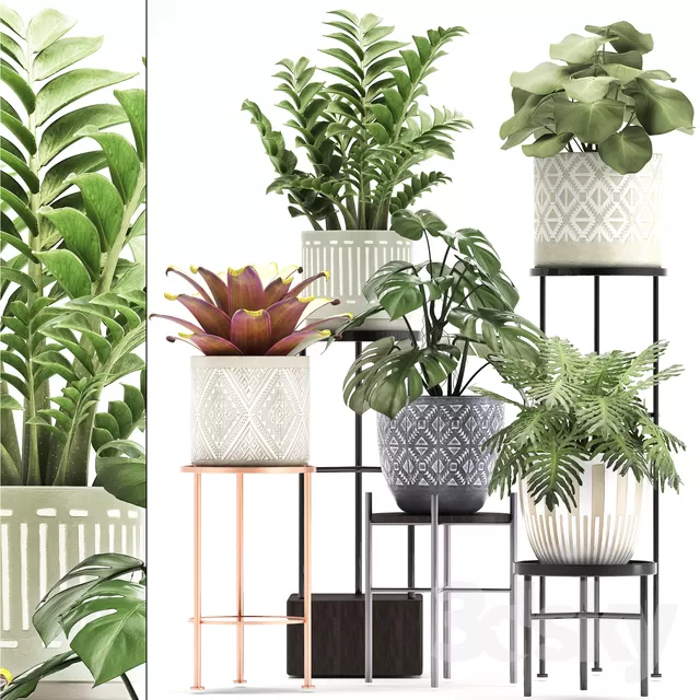 PLANTS – INDOOR – 3D MODELS – FREE DOWNLOAD – 16734 PLANTS – INDOOR – 3D MODELS – FREE DOWNLOAD – 16734