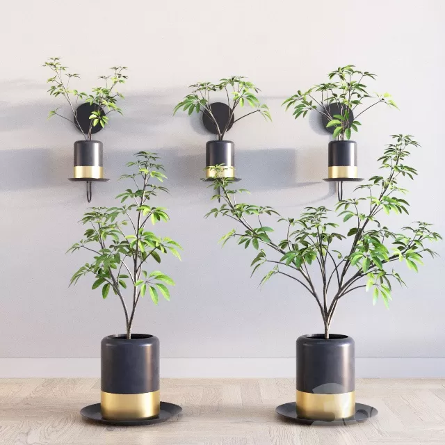 PLANTS – INDOOR – 3D MODELS – FREE DOWNLOAD – 16736 PLANTS – INDOOR – 3D MODELS – FREE DOWNLOAD – 16736