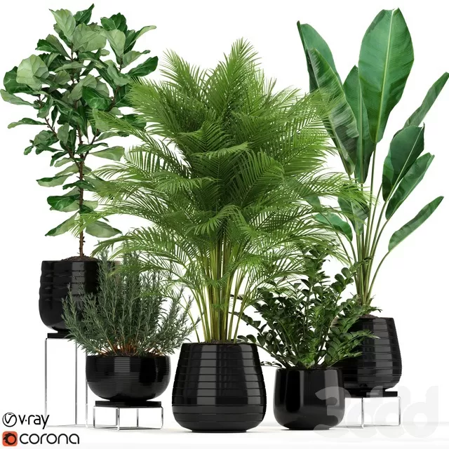 PLANTS – INDOOR – 3D MODELS – FREE DOWNLOAD – 16738 PLANTS – INDOOR – 3D MODELS – FREE DOWNLOAD – 16738