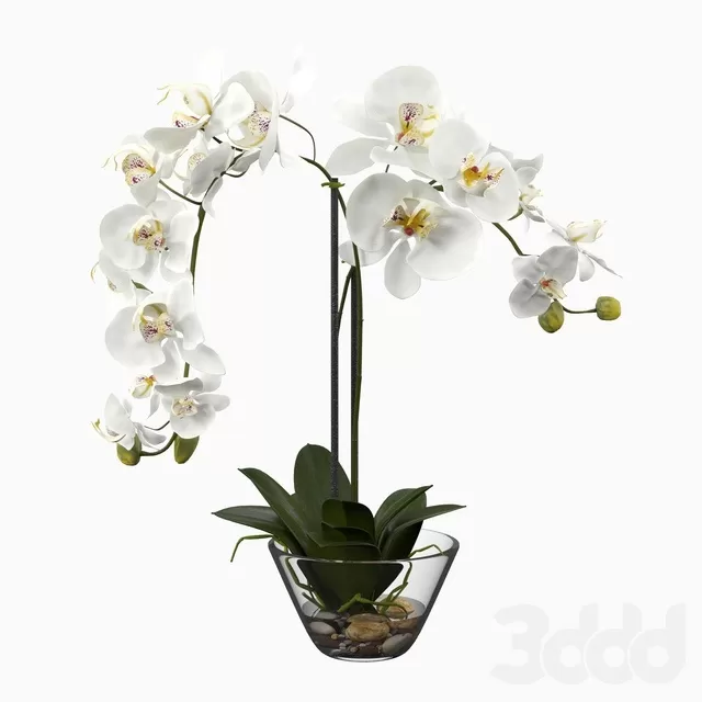 PLANTS – INDOOR – 3D MODELS – FREE DOWNLOAD – 16739 PLANTS – INDOOR – 3D MODELS – FREE DOWNLOAD – 16739