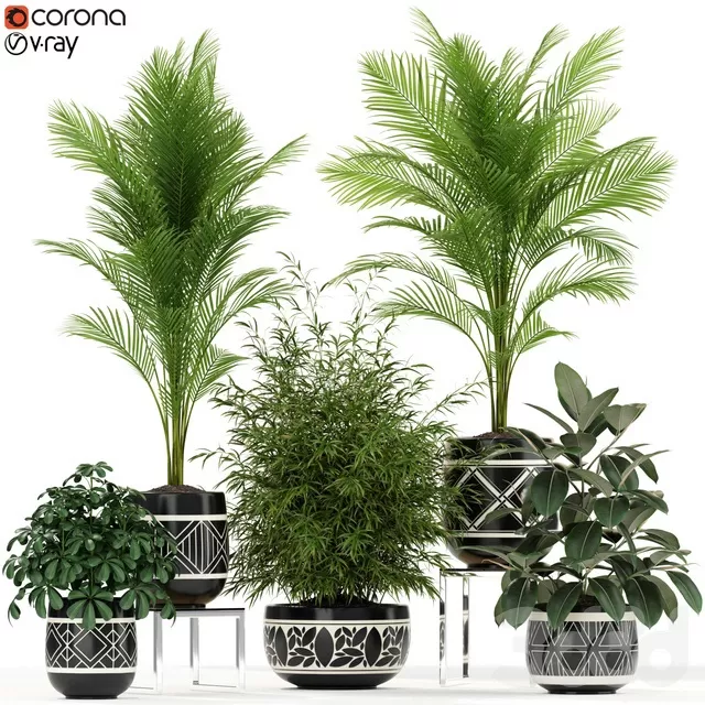 PLANTS – INDOOR – 3D MODELS – FREE DOWNLOAD – 16741 PLANTS – INDOOR – 3D MODELS – FREE DOWNLOAD – 16741