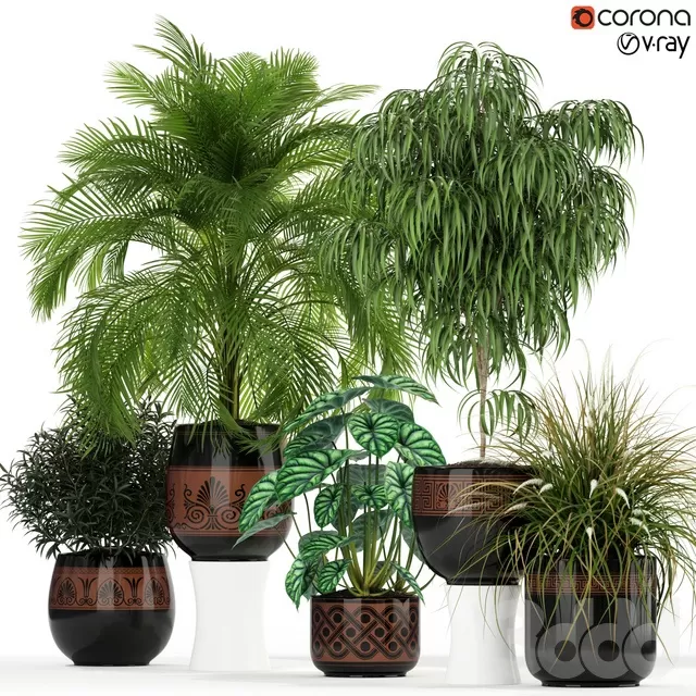 PLANTS – INDOOR – 3D MODELS – FREE DOWNLOAD – 16744 PLANTS – INDOOR – 3D MODELS – FREE DOWNLOAD – 16744