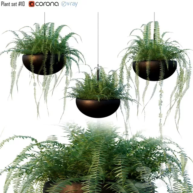 PLANTS – INDOOR – 3D MODELS – FREE DOWNLOAD – 16745 PLANTS – INDOOR – 3D MODELS – FREE DOWNLOAD – 16745