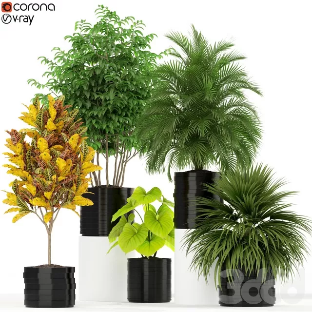 PLANTS – INDOOR – 3D MODELS – FREE DOWNLOAD – 16748 PLANTS – INDOOR – 3D MODELS – FREE DOWNLOAD – 16748