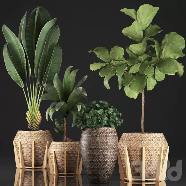 PLANTS – INDOOR – 3D MODELS – FREE DOWNLOAD – 16750 PLANTS – INDOOR – 3D MODELS – FREE DOWNLOAD – 16750